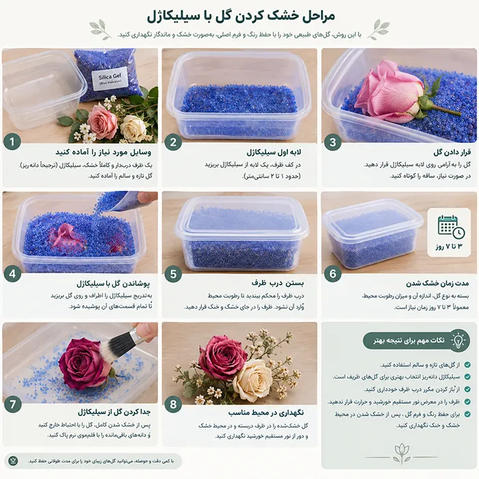 مراحل خشک کردن گل با سیلیکاژل